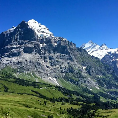 Wetterhorn, Eiger, Jungfrau, Amazing! Apartment Grindelwald