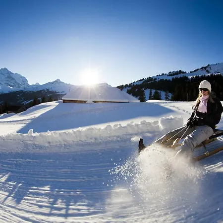 Wetterhorn, Eiger, Jungfrau, Amazing! Grindelwald
