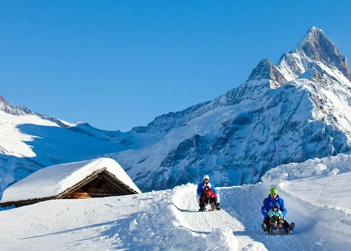 Wetterhorn, Eiger, Jungfrau, Amazing! 아파트 *