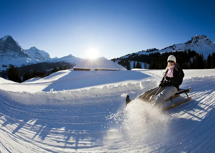 Wetterhorn, Eiger, Jungfrau, Amazing! 그린델발트