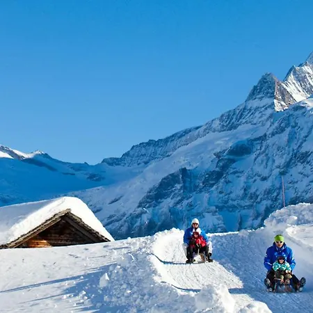 Wetterhorn, Eiger, Jungfrau, Amazing! Lejlighed *