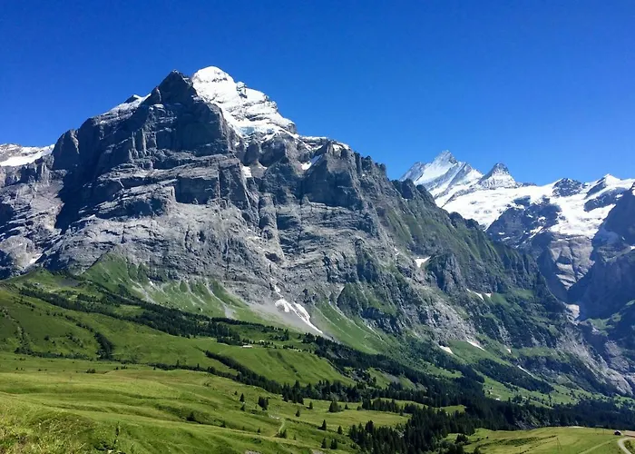 Wetterhorn, Eiger, Jungfrau, Amazing! Appartement Grindelwald